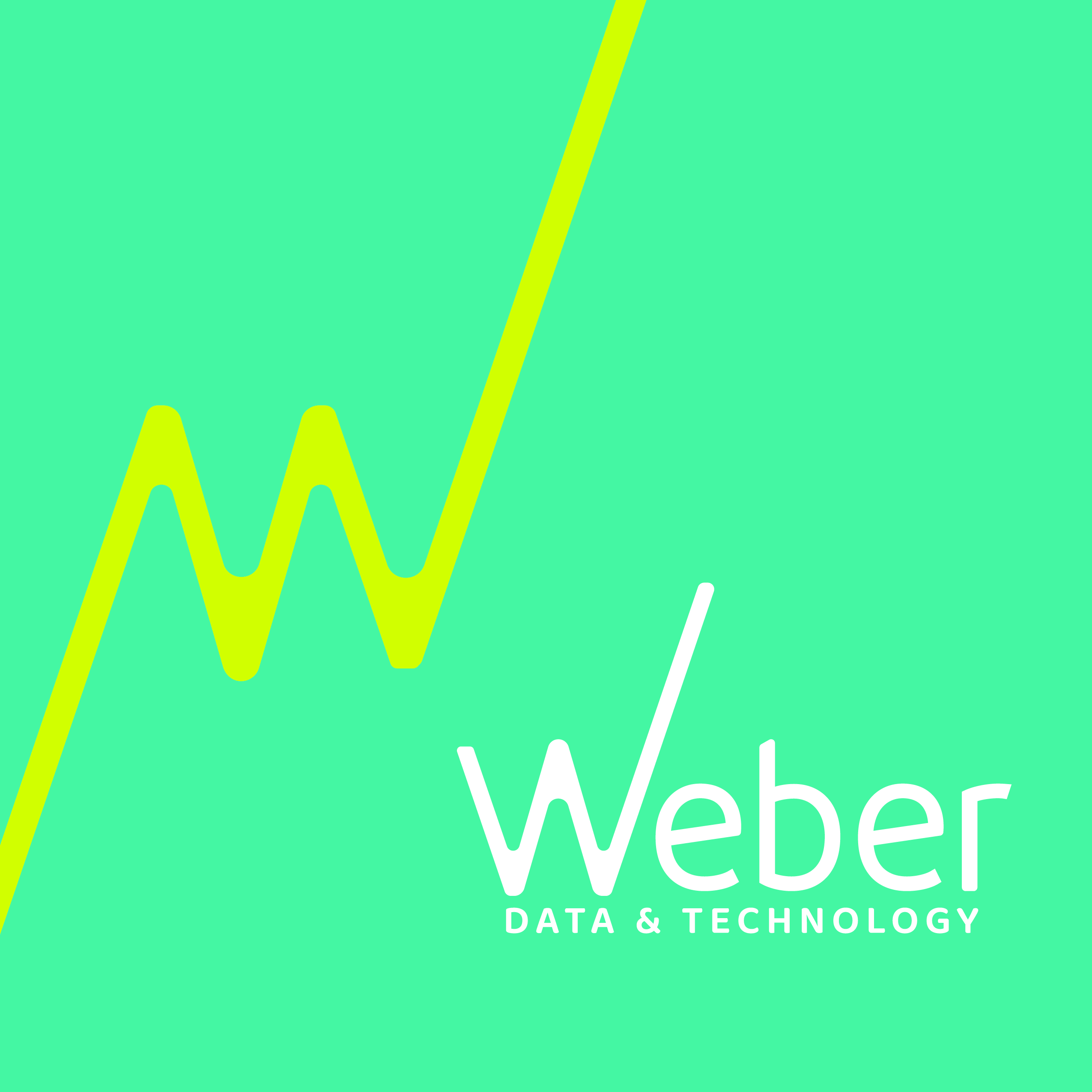 Weber Data Technology